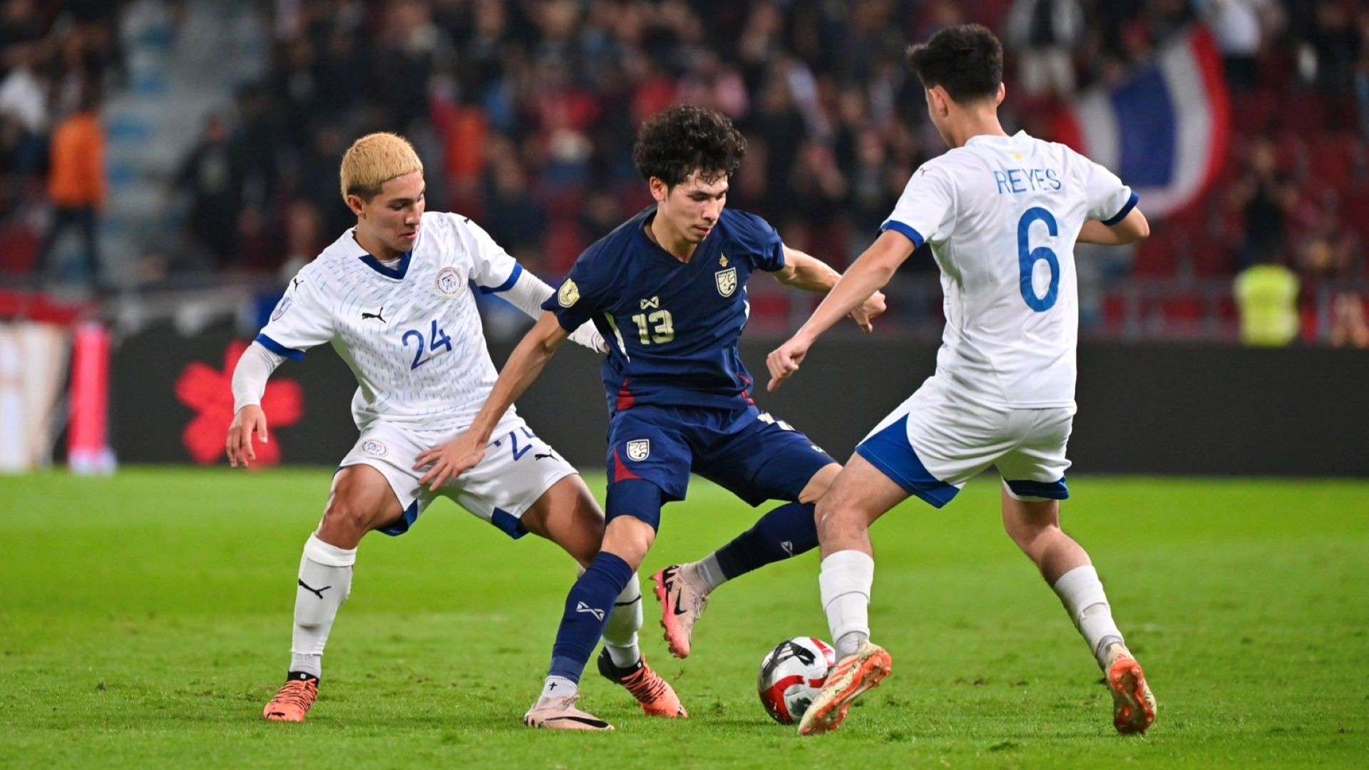 供了稳定的 供了稳定的